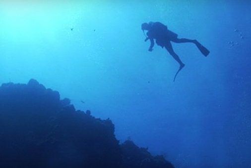 Scuba Diving(Open water)